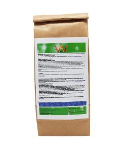 Bio Eukalyptus Minze Kräutertee