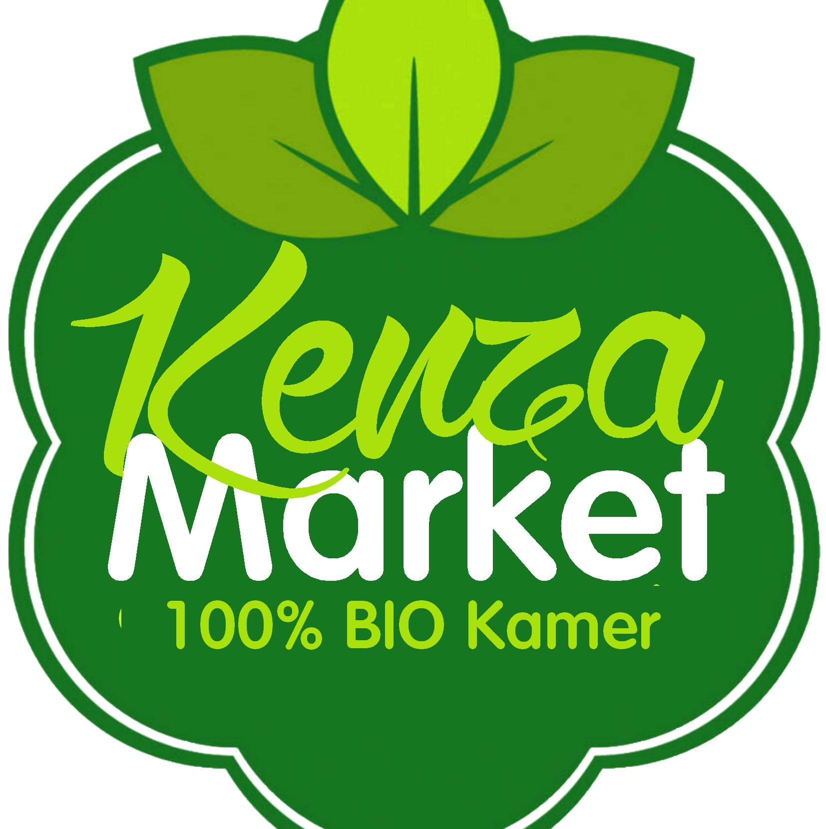 kenza logo